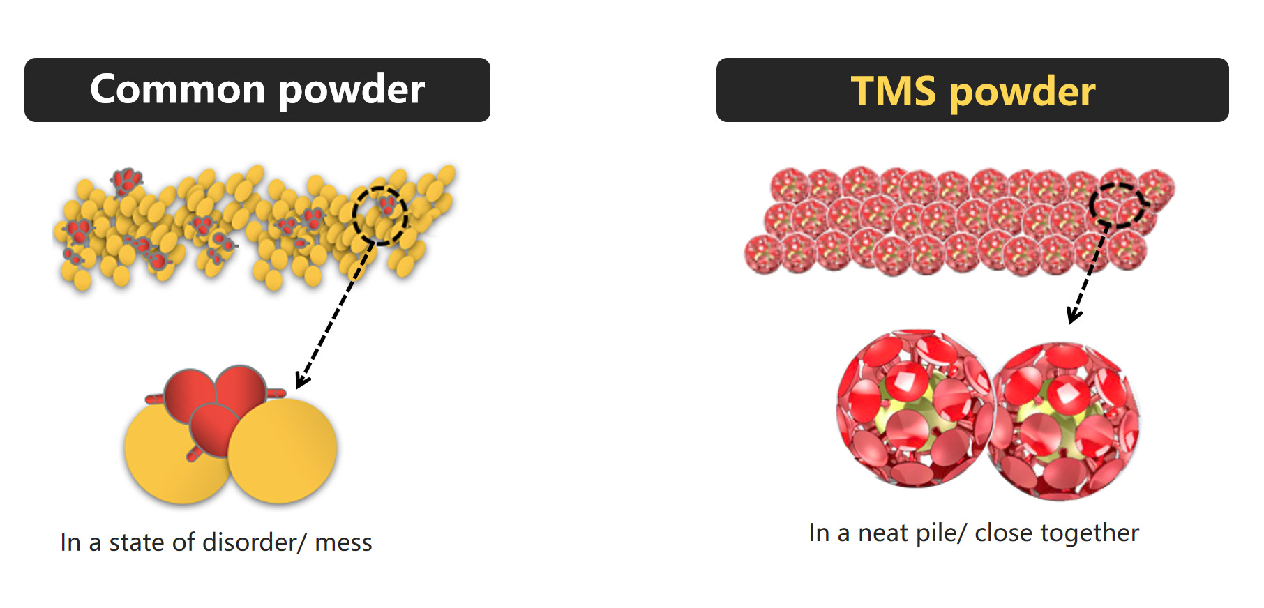 TMS powder compared with common one